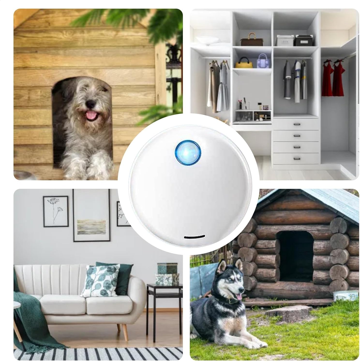 PetFreshAir™ Aria Pulita